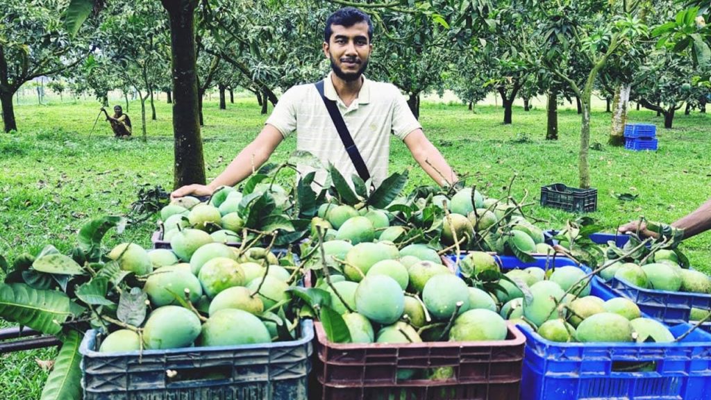 রংপুরে তবুও হাঁড়িভাঙা ঘিরে ৩০০ কোটি টাকার স্বপ্ন